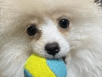 小さな家族が増えました